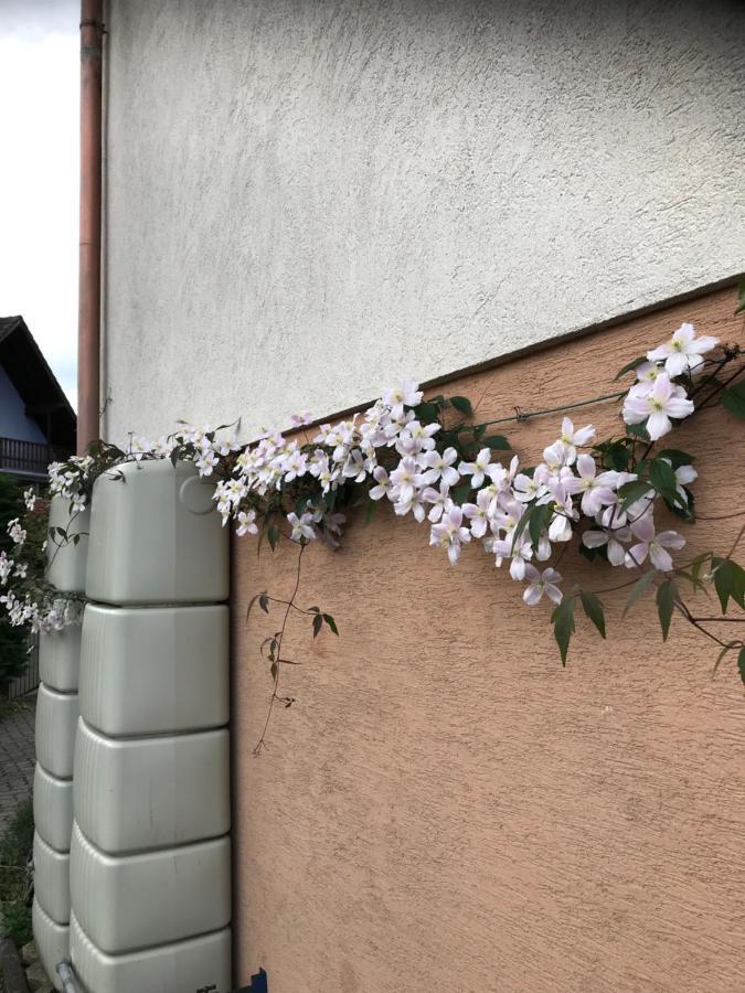 Appart Les Cerises Entre Strasbourg Et Haguenau Bischwiller Exteriér fotografie